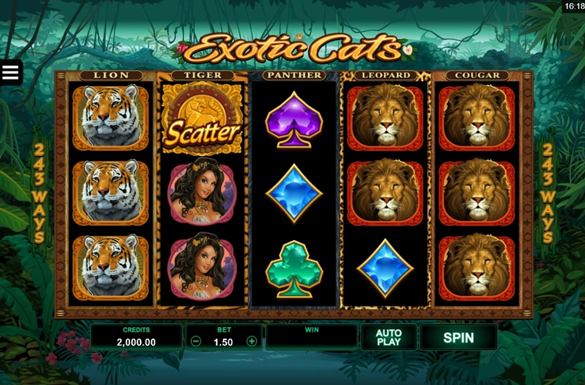 เจอหน้ากับธรรมชาติในเกม Exotic Cats และชนะเงินรางวัลที่ใหญ่มาก