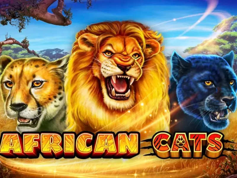 แมวแอฟริกัน Fun88 รับโบนัส แจ็คพอต ฟรีสปินง่ายๆ ที่จ่ายรางวัลบ่อยที่สุดสำหรับเกมสล็อต